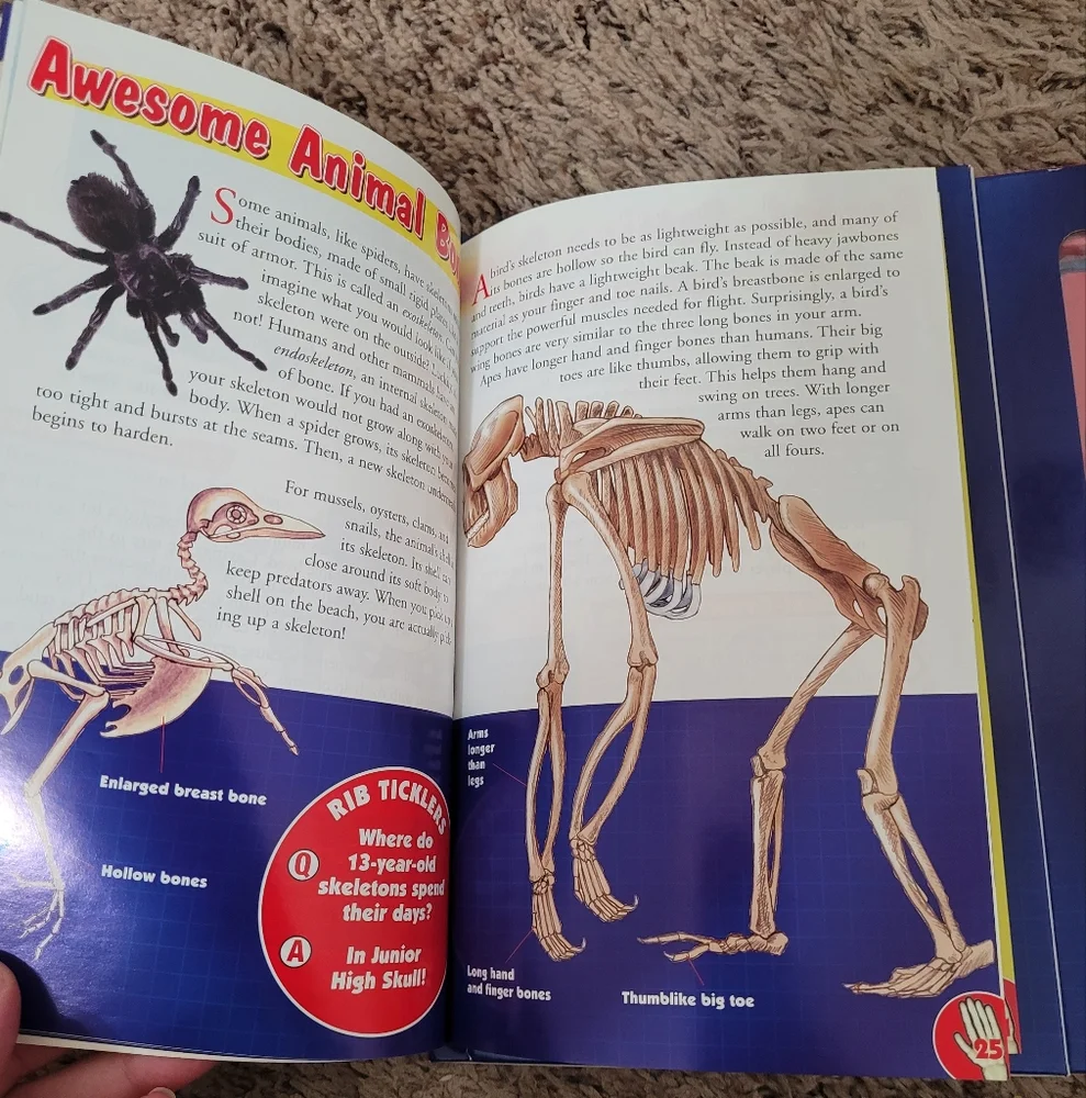 💥3/$24 NIB Scholastic Build a Skeleton Book‎ with Miniature Skeleton